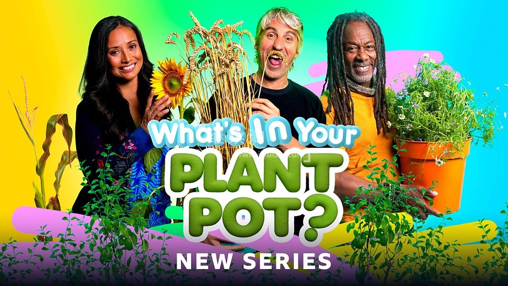 Whats in Your Plant Pot 图片1