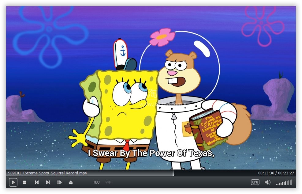 SpongeBob SquarePants 海绵宝宝 图片13