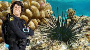 BBC科普英语真人动画Andy's Aquatic Adventures安迪的海底探险,适合0-10岁,全2季共30集,1080P高清视频带英文字幕,百度网盘下载! | 继续淘