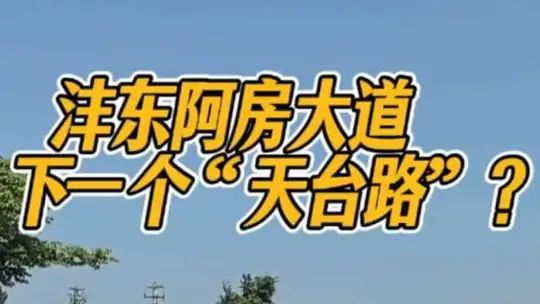 路两侧全是露天二手车市场，沣东这是要把阿房大道搞成下一个“天台路”？太乱了，这可是城市门面啊。#地产房剑