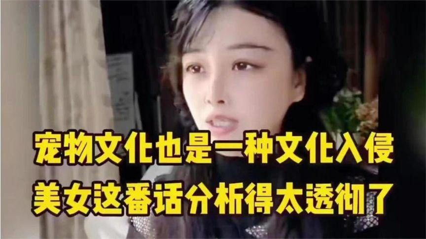 宠物文化也是一种文化入侵,美女这番话分析得太透彻了!