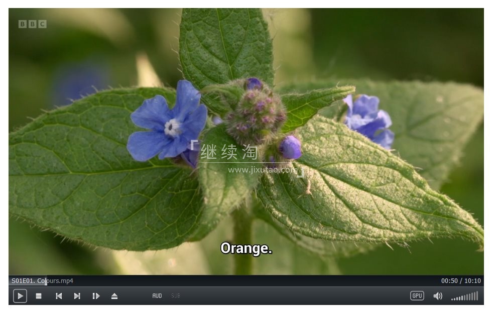 I Can Grow It 图片3